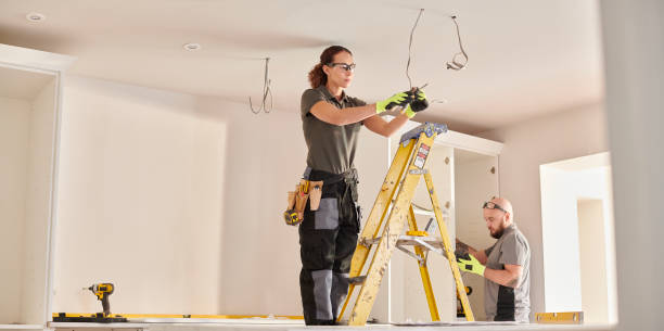 Best Electric Panel Repair  in Holland, OH